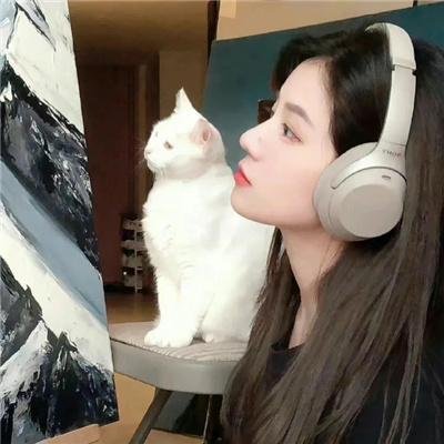雪海深仇